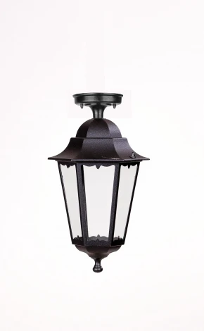 Потолочный светильник уличный Oasis Light PETERSBURG M 79805MA Bl (220V, фонарь, IP44)