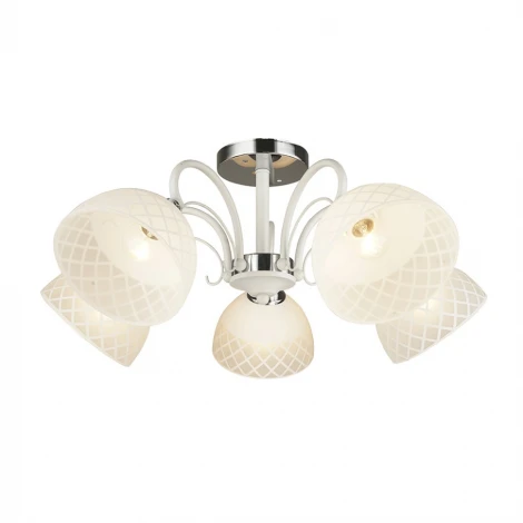 Потолочная люстра Wedo Light Ornago 66409.01.64.05