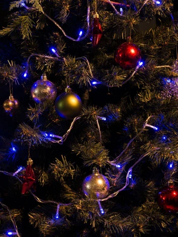 Гирлянда Uniel ULD-S1000-100/DTA BLUE IP20