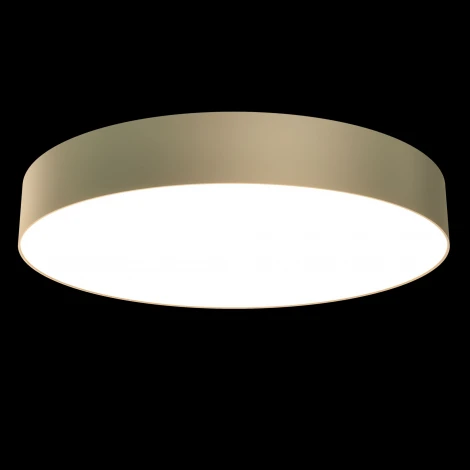 Потолочный светильник Zon 4000K 1x45Вт 120° LED Maytoni Technical C032CL-L48MG4K