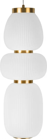 Подвесной светильник Loft It Duff 10422/C (LED, 220V, на тросе, круглые)