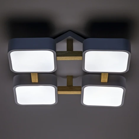 Потолочный светодиодный светильник Ritter Scandia 52073 3