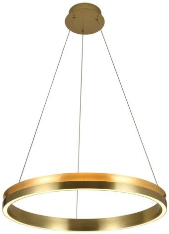 Подвесной светильник с гибким неоном Alfa Light F3924-75 (LED, 220V, на проводе, кольцо)