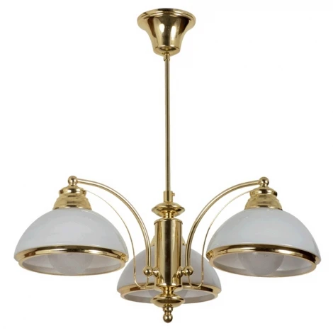 Подвесная люстра MW-Light Фелиция 347010303