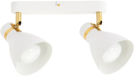 Спот на штанге Arte Lamp Fafnir A5047PL-2WH (220V)