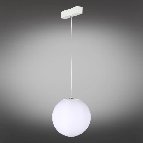 Светильник трековый магнитный 48V Aployt Magnetic track 48 APL.0124.10.06 (LED, шар)