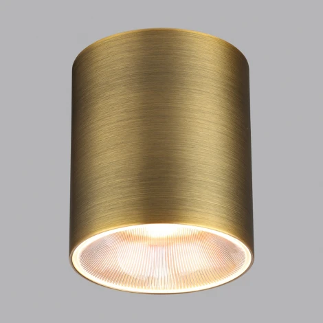 Потолочный светильник накладной Odeon Brim 7137/12CL бронза/металл IP20 LED 12W 960Лм 3000K/4000K/6000K 36° 220V