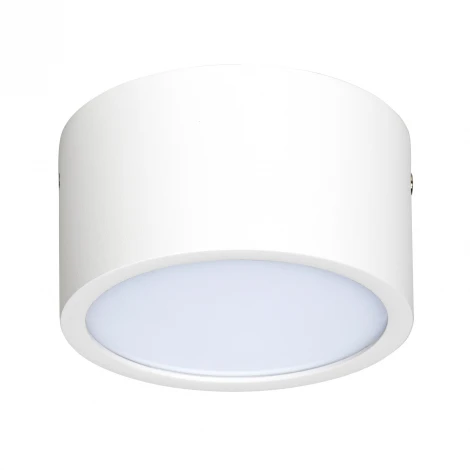 Накладной точечный светильник Lightstar Zolla 213916 (LED, 220V, IP44)