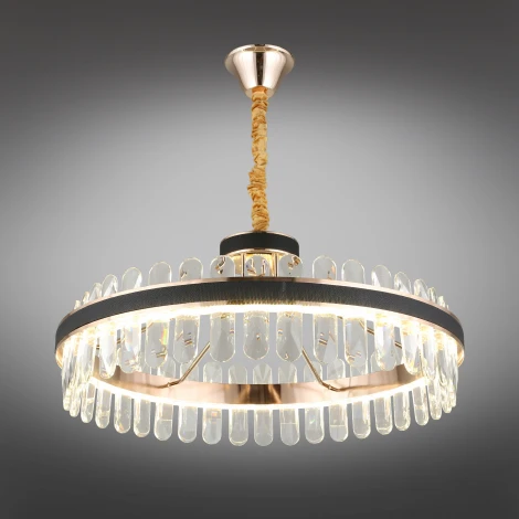 Подвесная люстра Aployt Honori APL.027.03.102 (LED, 220V, на цепи, кольцо)