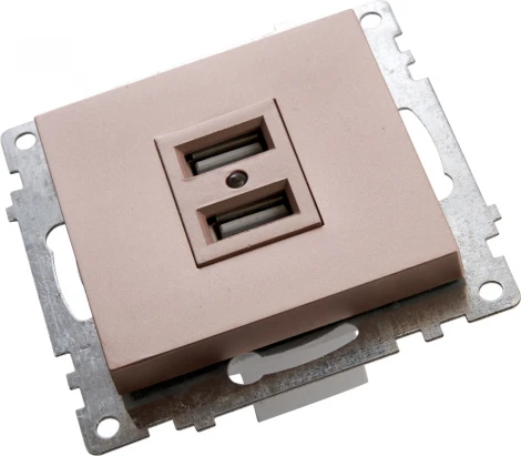 Розетка с USBх2 (шампань) Stekker Катрин 39602