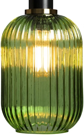 Подвесной светильник Loft It IRIS 2072-A+BL