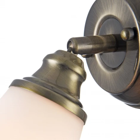 Спот Freya Jasinta FR2272-WL-01-BS (220V, круглые)