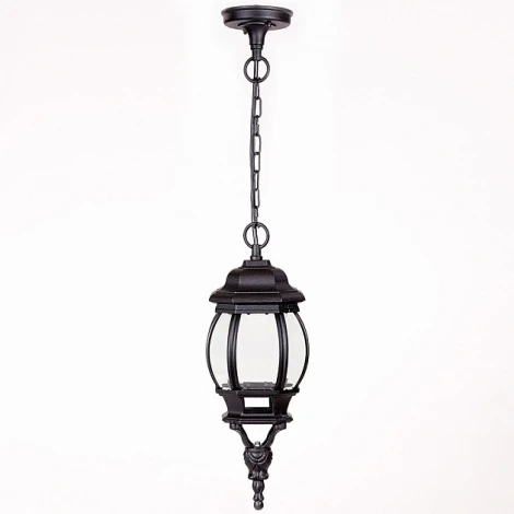 Уличный светильник подвесной Oasis Light 83405S Bl (220V, на цепи, IP44)