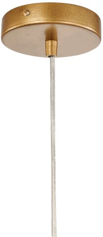 Подвесной светильник Favourite Antares 2932-1P