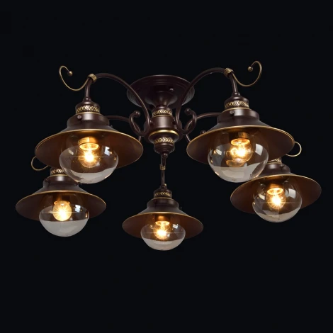 Потолочная люстра Максисвет 4565 1-4565-5-CF E27