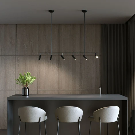 Спот на штанге Eurosvet Barre 20252/6 LED черный (220V, пульт управления)