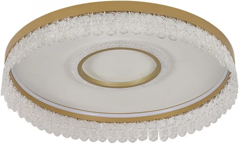 Потолочный светильник круглый F-Promo Lunetta 4186-2C (LED, 220V, подвески, пульт управления, круглые)