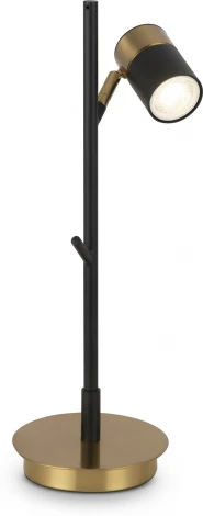 Интерьерная настольная лампа Freya Enzo FR5201TL-01B (220V, выключатель)