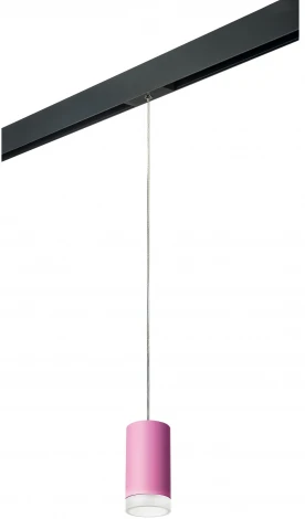 Трековый светильник однофазный 220V Lightstar Rullo PRORP43230 (круглые)