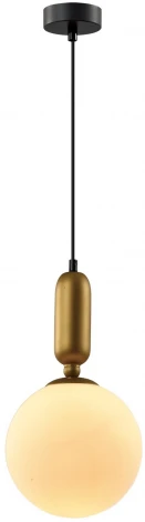 Подвесной светильник Rivoli Agnes 4106-201 (220V, на проводе, шар)