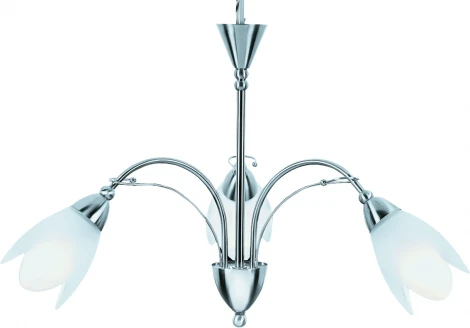 Потолочная люстра Arte Lamp Petal A4905LM-3SS