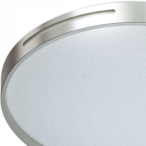 Настенно-потолочный светильник Sonex Geta Silver 2076/DL