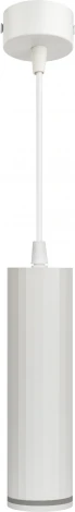 Подвесной светильник ЭРА PL19 WH (220V, на проводе)