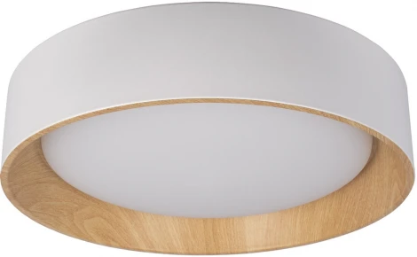 Потолочный светильник Coin 10202 White Loft It