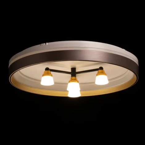 Потолочный светильник круглый De City Норден 660014701 (LED, 220V, круглые)