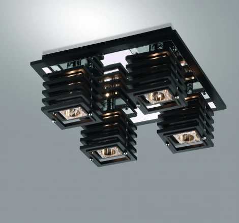 Потолочный светильник Odeon Light Ripen 1251/4C