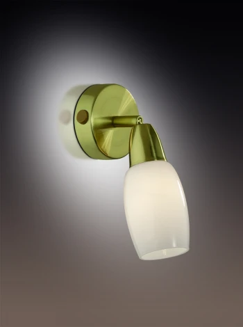 Спот Odeon Light Otta 2067/1W