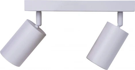 Потолочный светильник спот Brizzi Aras BR08083