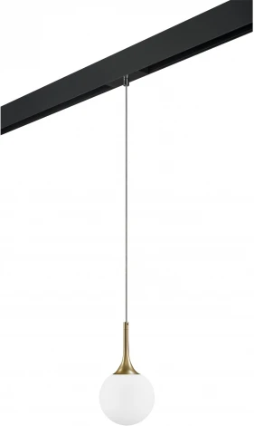 Трековый светильник однофазный 220V Lightstar Globo PRO813013 (шар)
