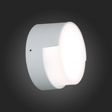 Настенный светильник уличный ST Luce Linata SL090.511.01