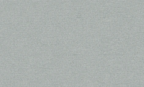 Обои виниловые Erismann Jacklin 60111-05 10,05 x 1,06 м