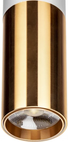 Трековый светильник однофазный 220V Ritter Artline 59710 4