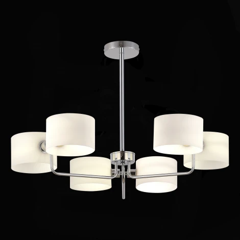 Потолочная люстра на штанге Evoluce Aerin SLE1121-102-06