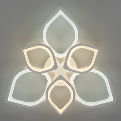 Потолочная люстра Eurosvet Garden 90228/6 белый