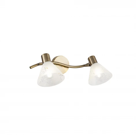 Спот Freya Paola FR7001WL-02BZ