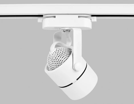 Трековый светильник Ambrella GL GL5101 (220V, круглые)