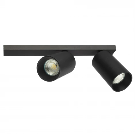 Настенно-потолочный спот Citilux Axel CL512521 Черный