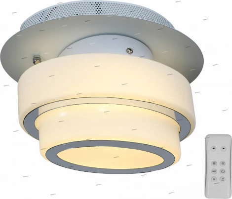 Настенно-потолочный светильник ST Luce Ovale SL546.501.01