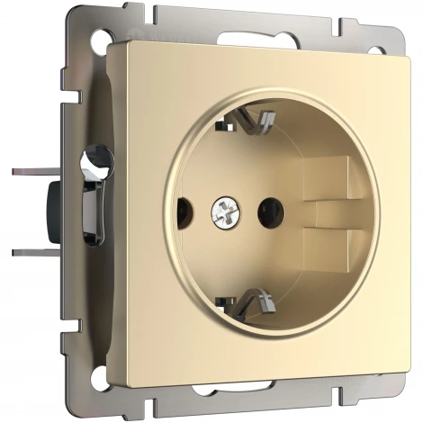 Розетка с заземлением (шампань) Werkel W1171011 (a050867)