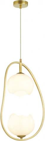 Подвесной светильник Odeon Light Waterlily 4873/2