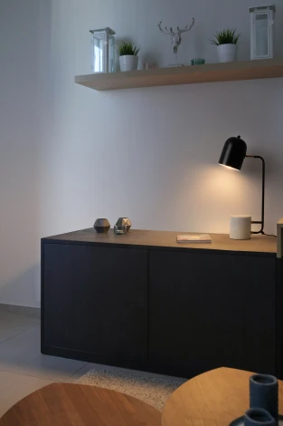 Настольная лампа Freya Unique FR5279TL-01B1 (220V, выключатель)