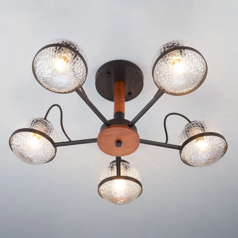 Потолочная люстра Eurosvet Livia 70081/5 черный