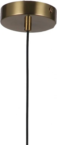 Подвесной светильник F-Promo Roshni 3050-1P (220V, на проводе, шар)