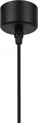 Подвесной светильник ЭРА PL18 BK/CL (220V, на проводе)