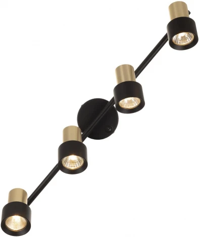 Спот поворотный с включателем Citilux Sat CL505641 (220V, выключатель)