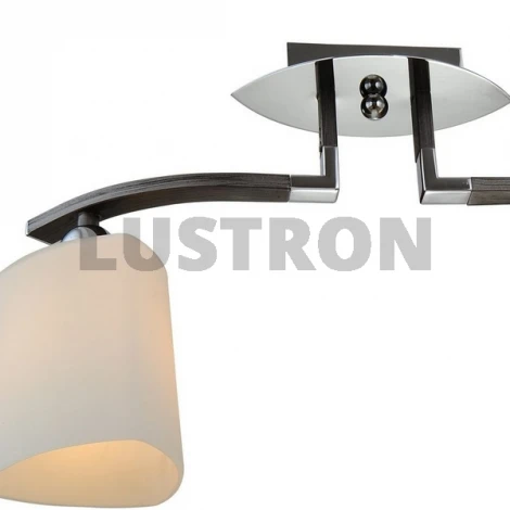 Потолочная люстра ST Luce SL320 SL320.702.02